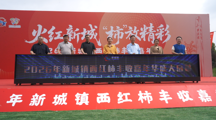 【职业教育活动周】劳动铸就梦想，数字赋能振兴——亚博官网师生深度参与新城镇西红柿丰收嘉年华